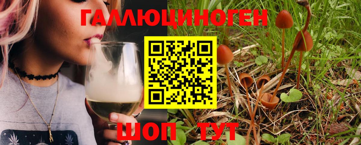 Шарыпово  Псилоцибиновые грибы ЛСД  Псилоцибиновые грибы Psilocybe  Вход с VPN 